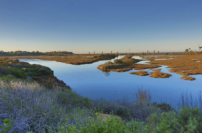 Discover Coastal Beauty: Your Guide to San Elijo Lagoon and Ecological Reserve!